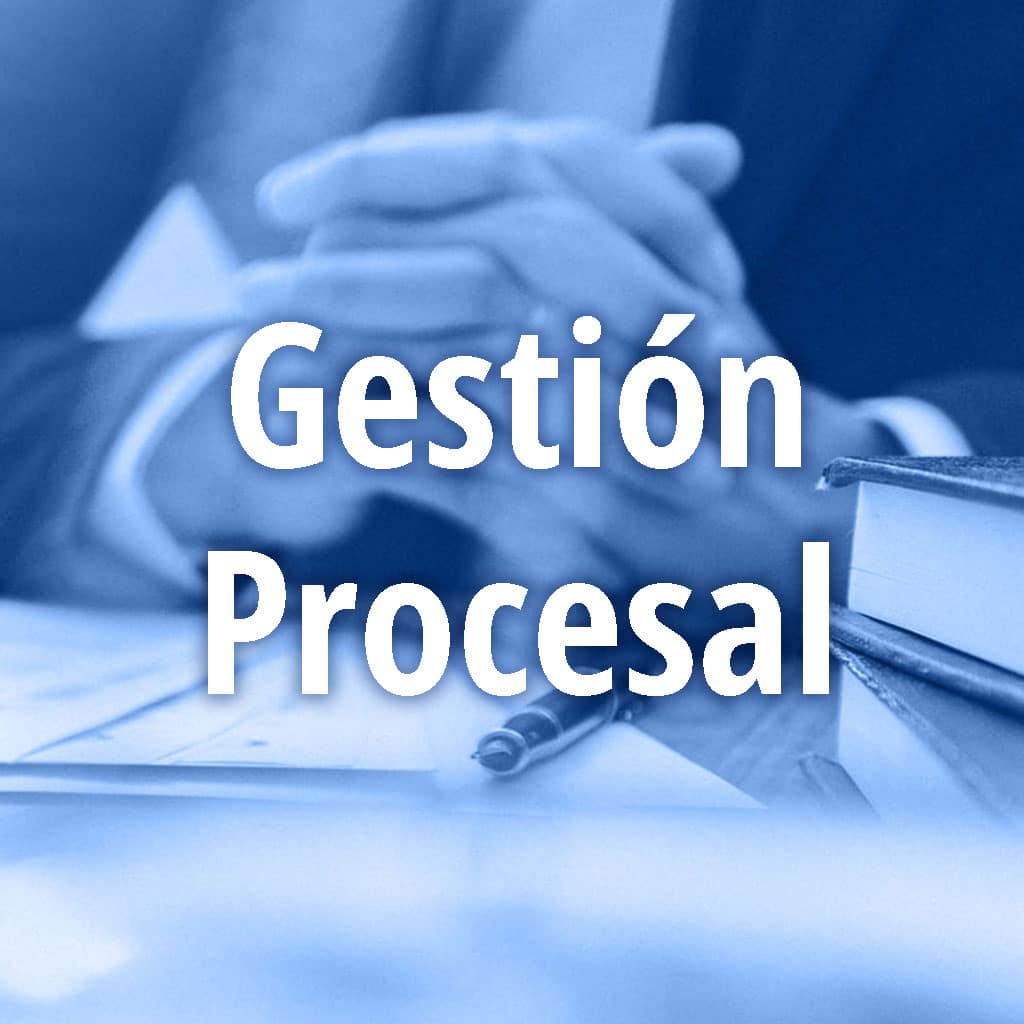 Gestión Procesal y Administrativa