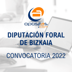 Convocatoria Diputación Foral de Bizkaia 2022